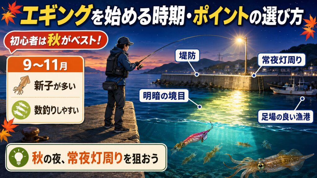 エギングを始める時期・ポイントの選び方