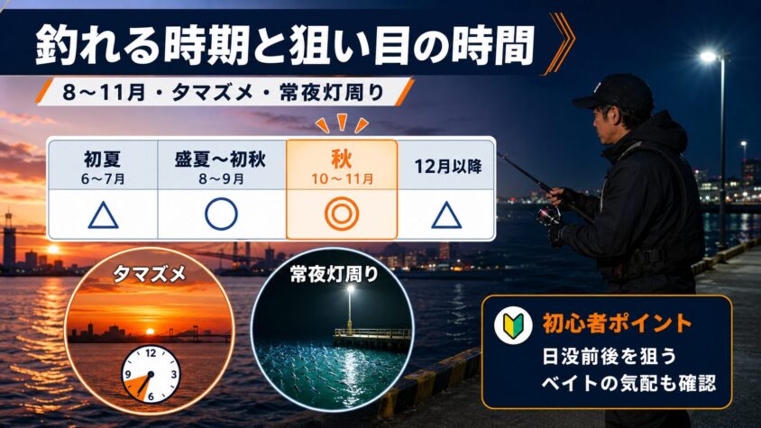 東京湾奥でタチウオが釣れる時期・時間帯