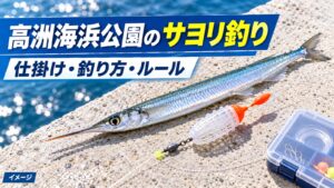 青い海を背景に銀色のサヨリとカゴウキ仕掛けを並べ、記事タイトルを添えたイメージ