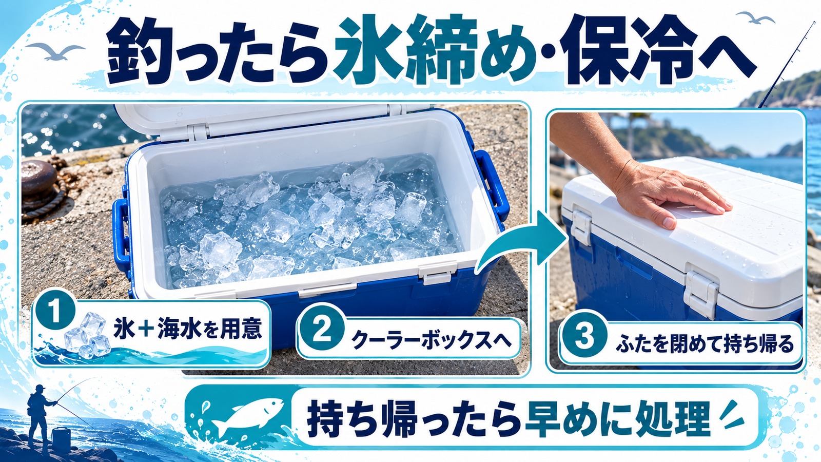 氷と海水を入れたクーラーボックスと、ふたを閉めて持ち帰る保冷手順