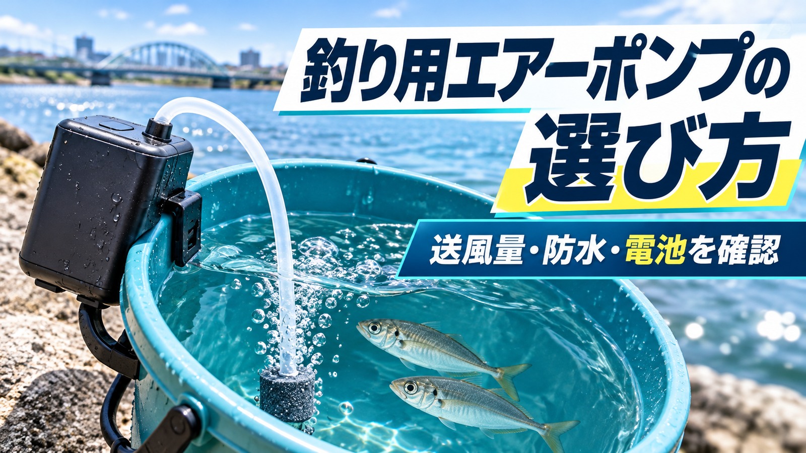 活かしバケツに空気を送る携帯ポンプと選び方を示す画像